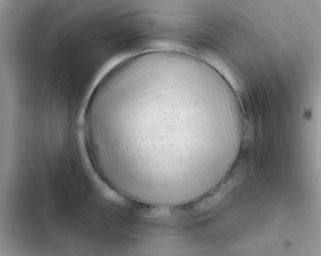 X0000102541098200808221923