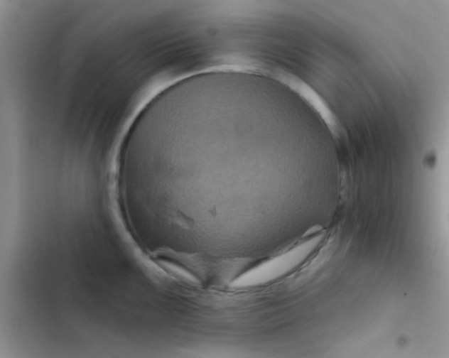 X0000102541099200808221923