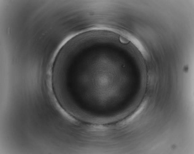 X0000102541100200808221923