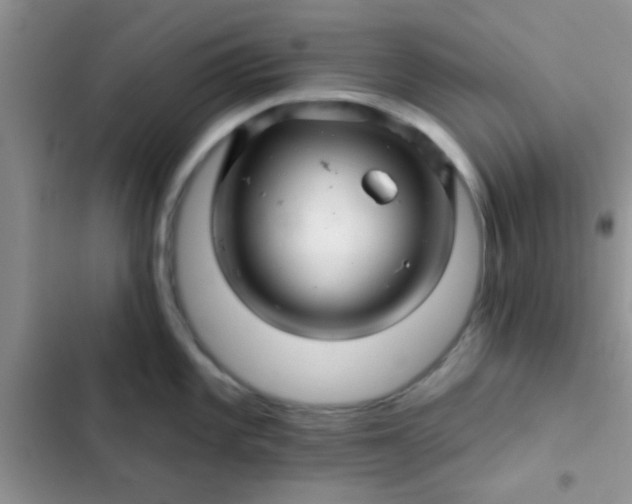X0000102541101200808221923