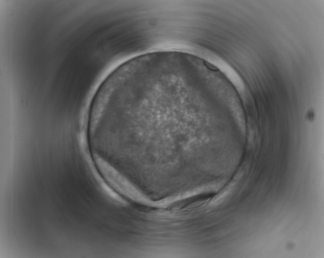 X0000102541102200808221923
