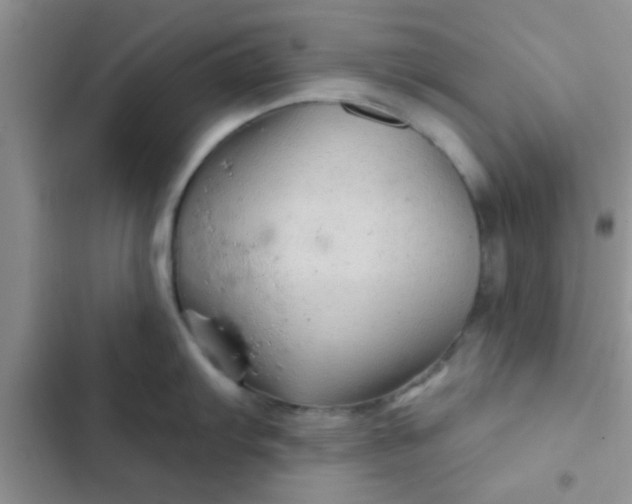 X0000102541103200808221923
