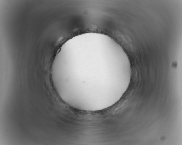 X0000102541105200808221922