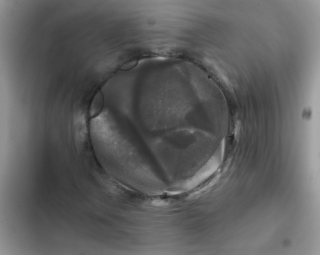 X0000102541106200808221922