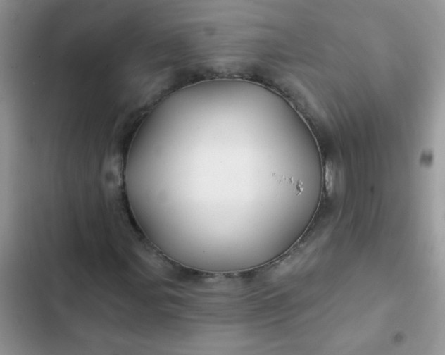 X0000102541107200808221922