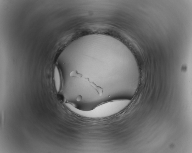 X0000102541108200808221922