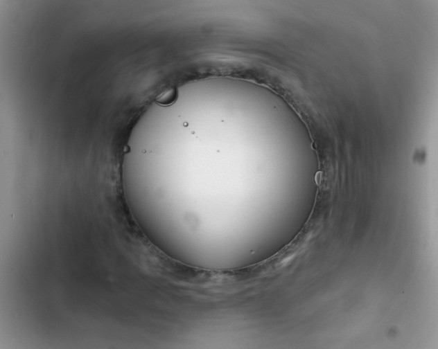 X0000102541109200808221922