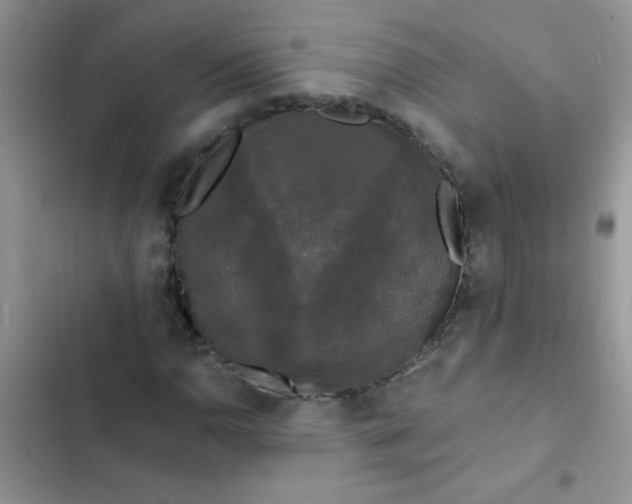 X0000102541110200808221922
