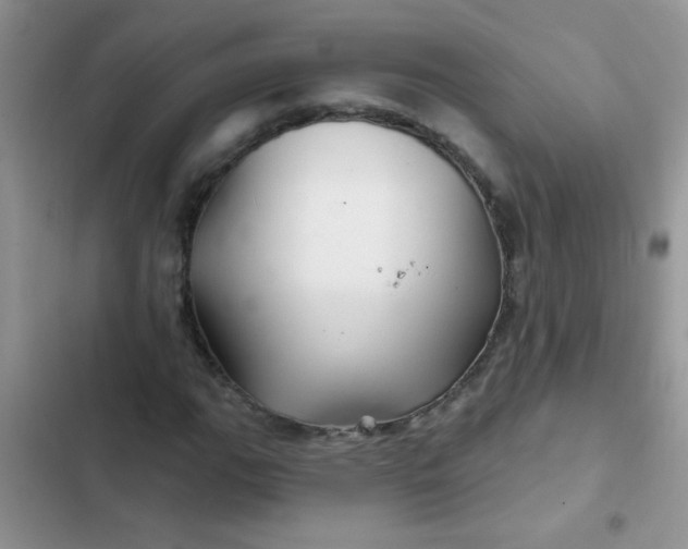 X0000102541111200808221922
