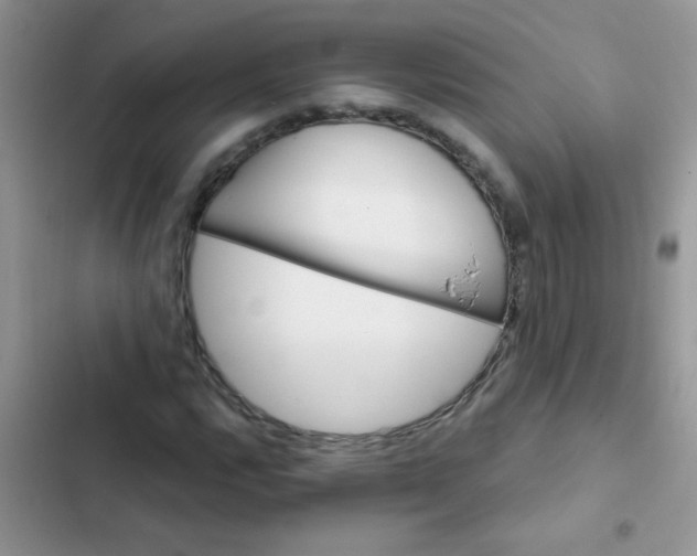 X0000102541112200808221922