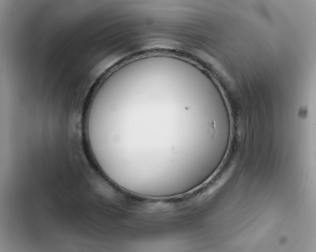 X0000102541113200808221922