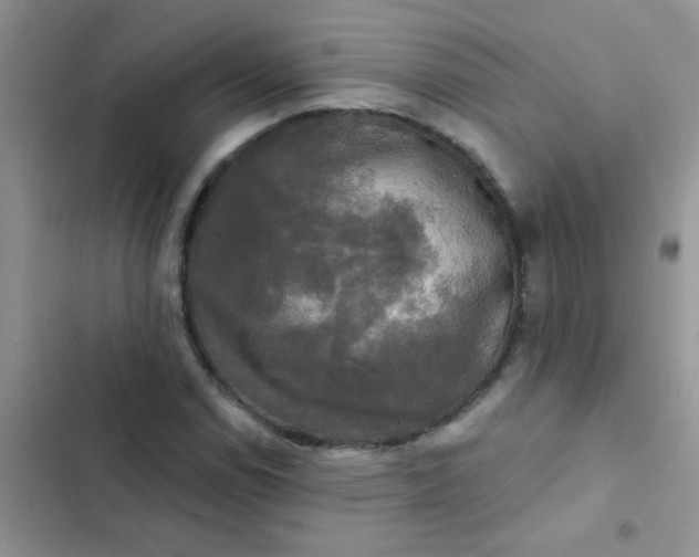 X0000102541114200808221922