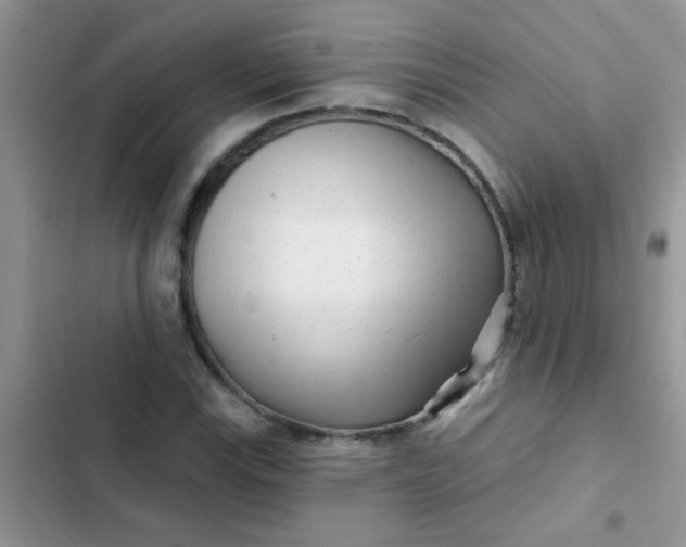 X0000102541115200808221922