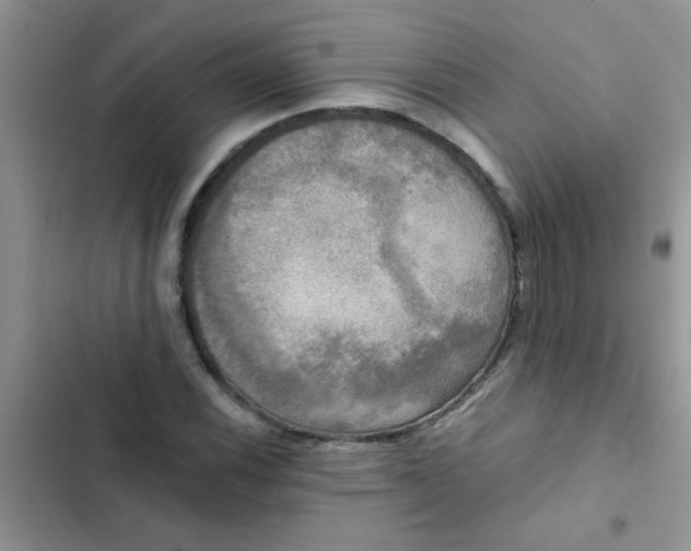 X0000102541116200808221922