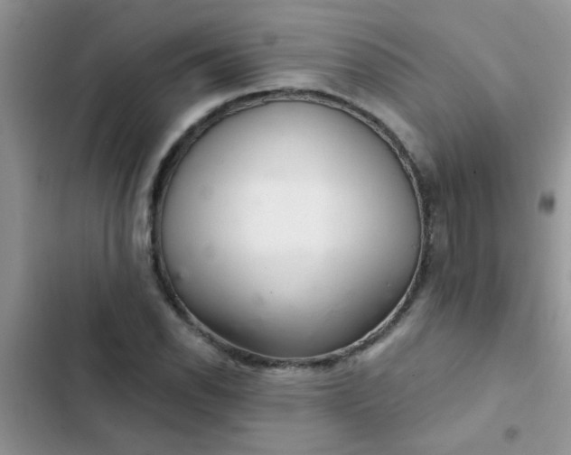 X0000102541118200808221922
