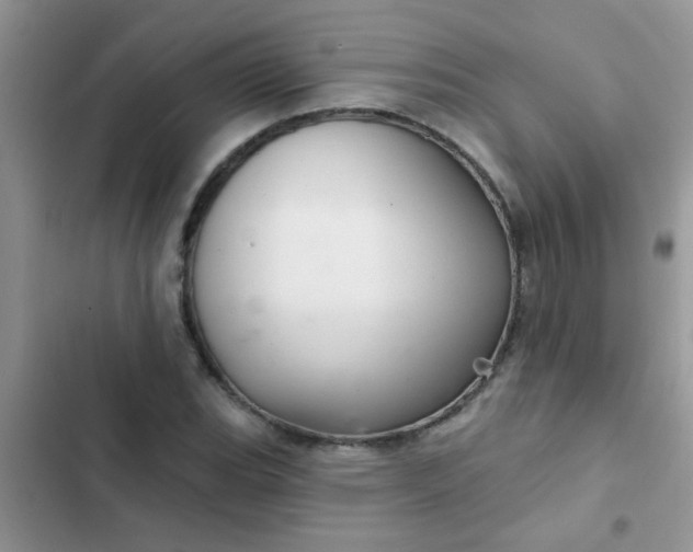 X0000102541119200808221922