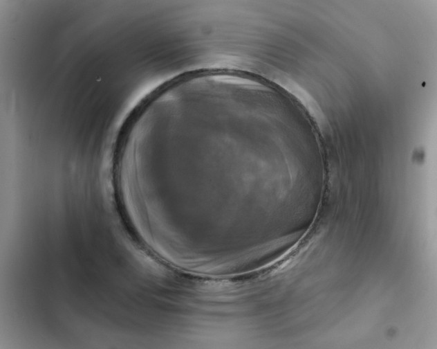 X0000102541120200808221922