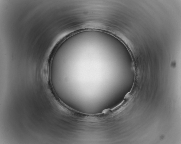 X0000102541123200808221922