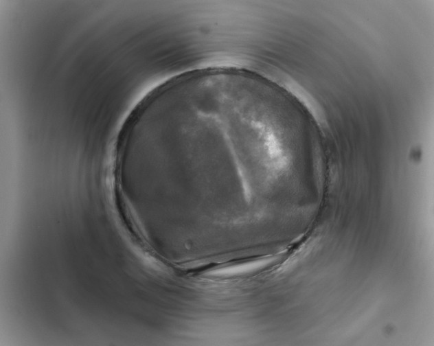 X0000102541124200808221922