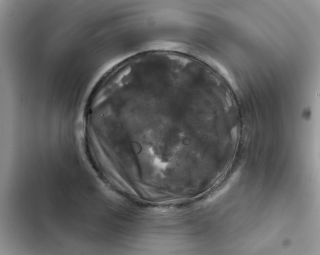 X0000102541125200808221922