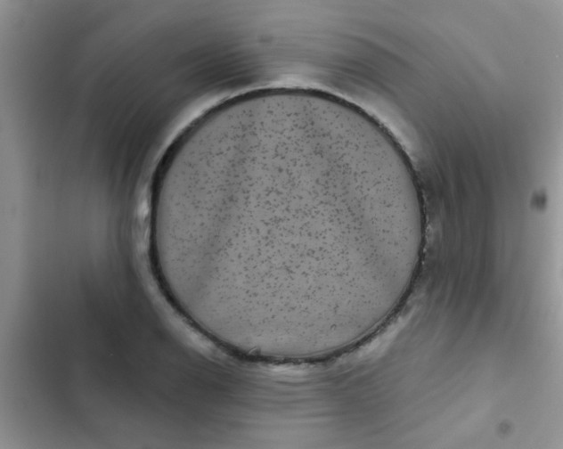X0000102541126200808221922