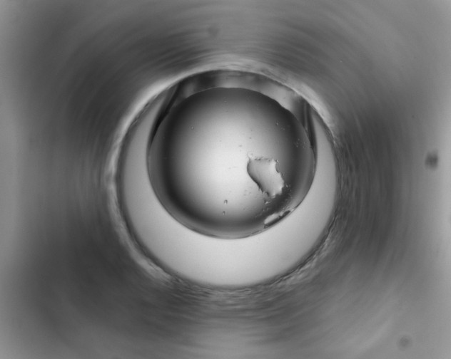 X0000102541128200808221922
