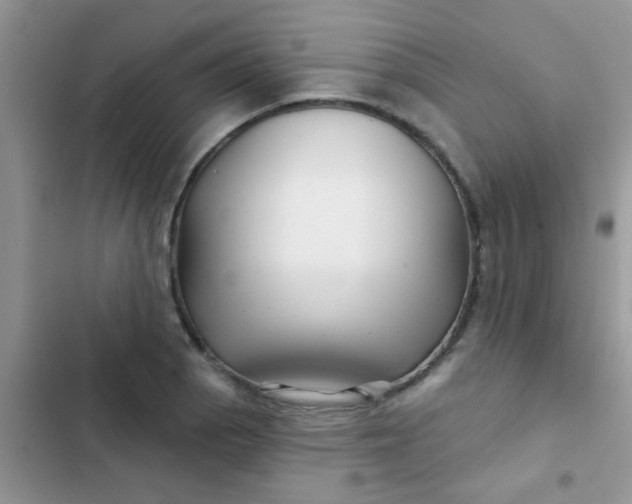 X0000102541129200808221922