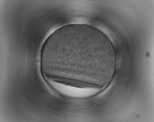 X0000102541130200808221922