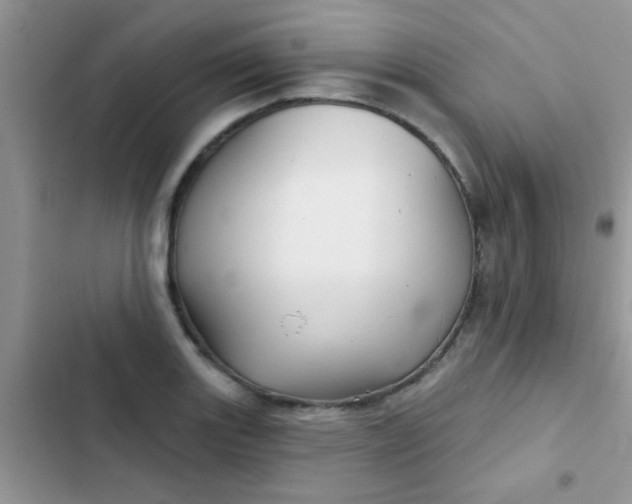 X0000102541131200808221923
