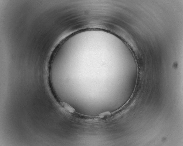 X0000102541133200808221923
