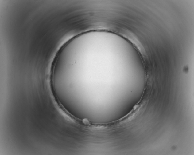 X0000102541135200808221923