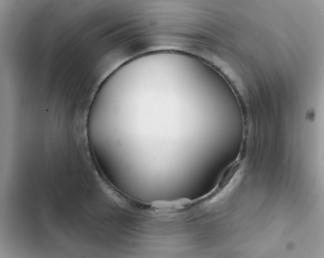X0000102541137200808221923