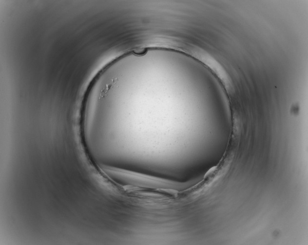 X0000102541138200808221923