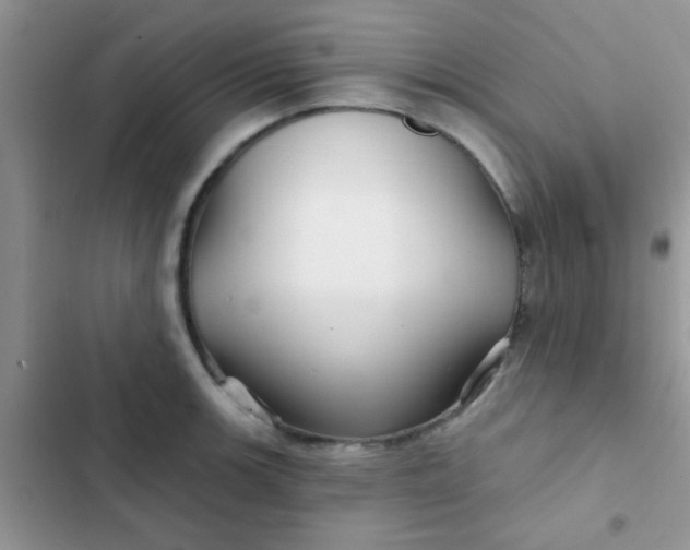 X0000102541139200808221923