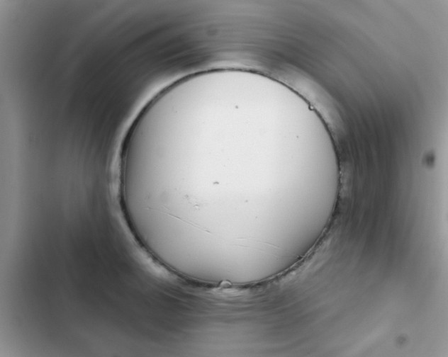 X0000102541140200808221923
