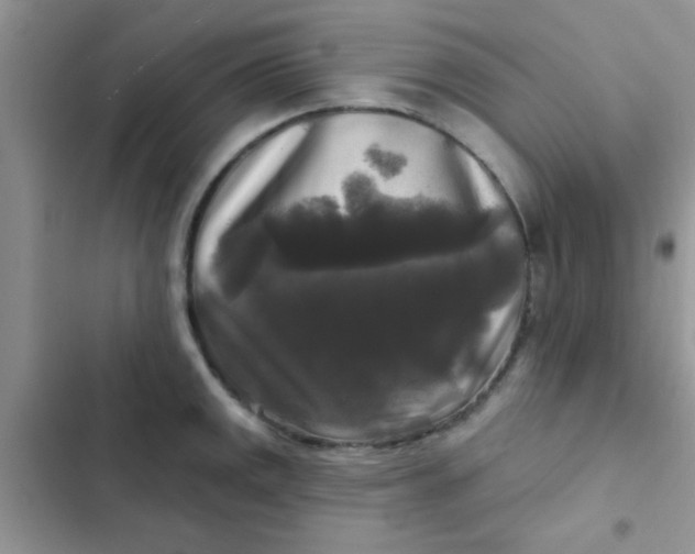 X0000102541141200808221923