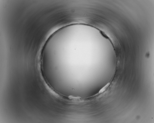 X0000102541143200808221923
