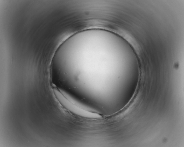 X0000102541145200808221923