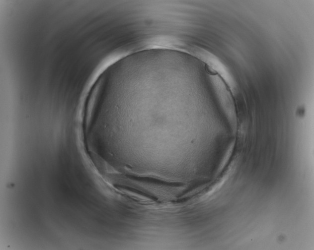 X0000102541146200808221923