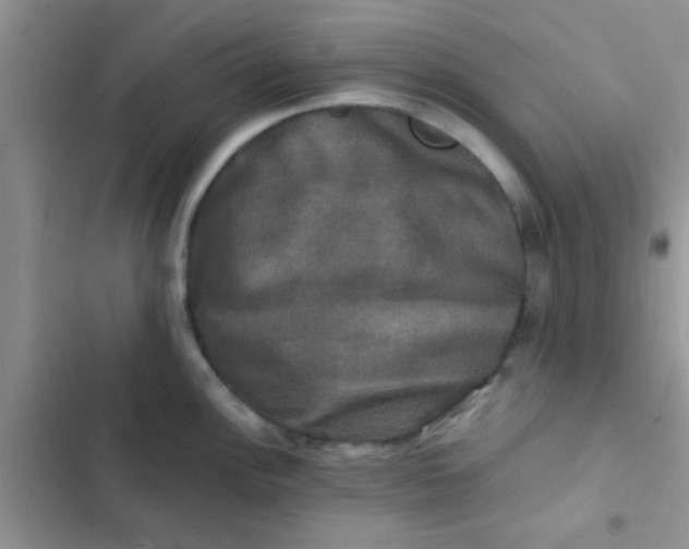 X0000102541148200808221923