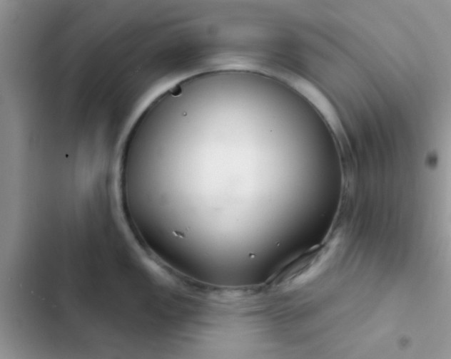 X0000102541149200808221923
