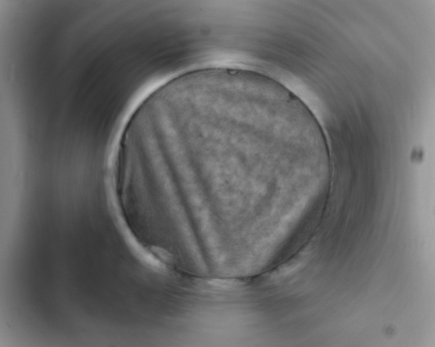 X0000102541152200808221923