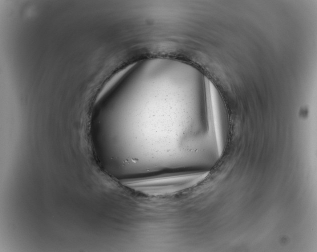 X0000102541153200808221922
