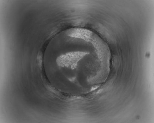 X0000102541154200808221922