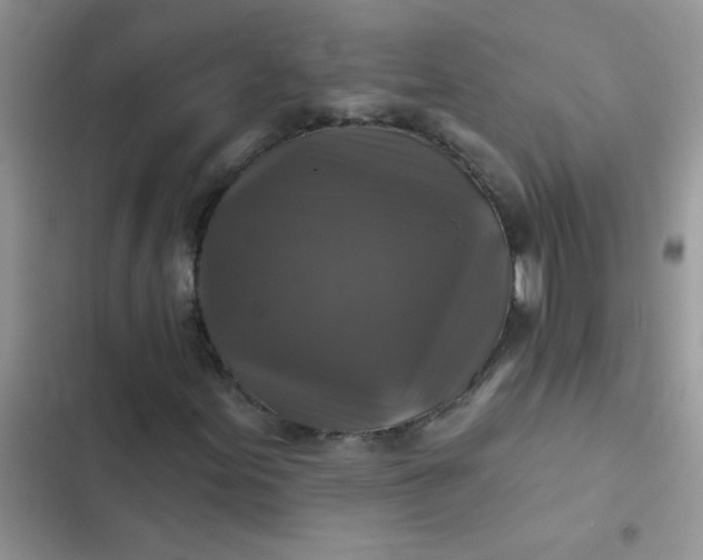 X0000102541155200808221922