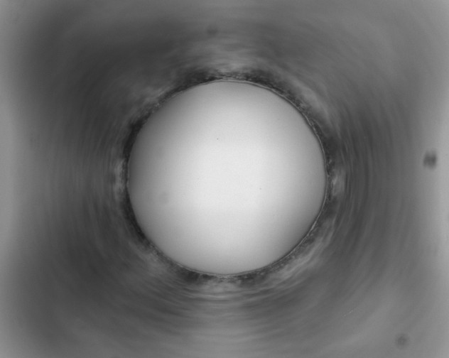X0000102541156200808221922