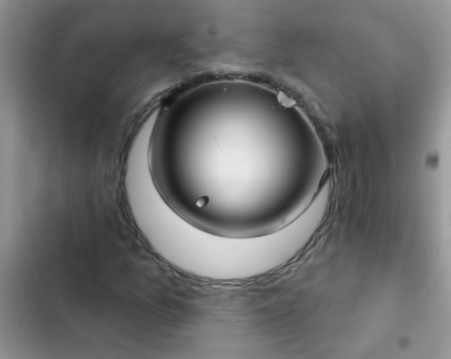 X0000102541157200808221922