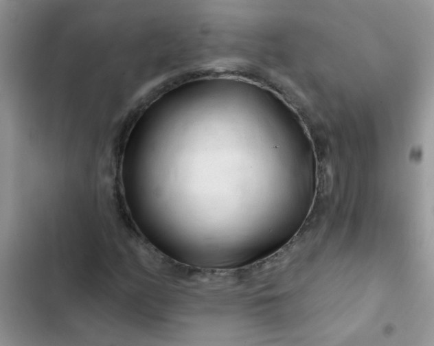 X0000102541158200808221922