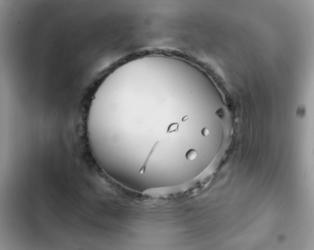 X0000102541159200808221922