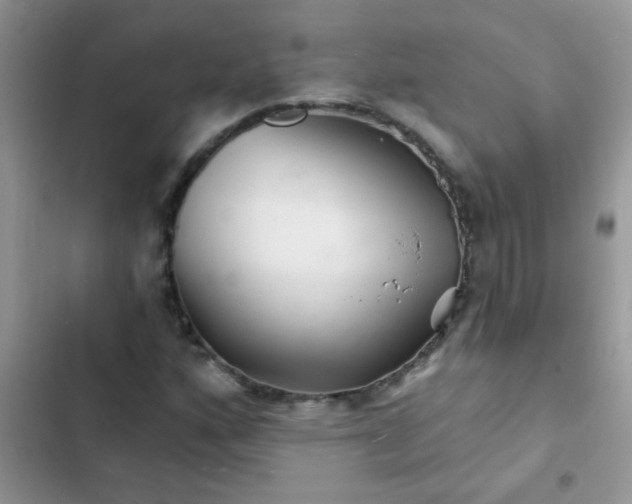 X0000102541160200808221922